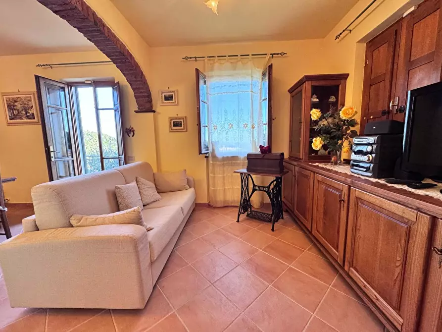 Immagine 23 di Casa colonica in vendita  a Pietrasanta