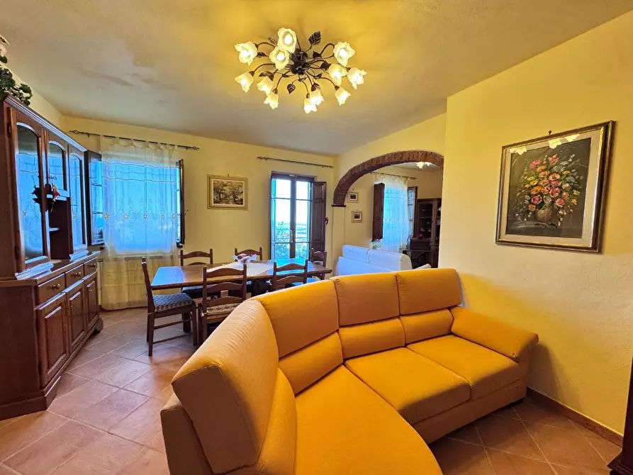 Immagine 12 di Casa colonica in vendita  a Pietrasanta