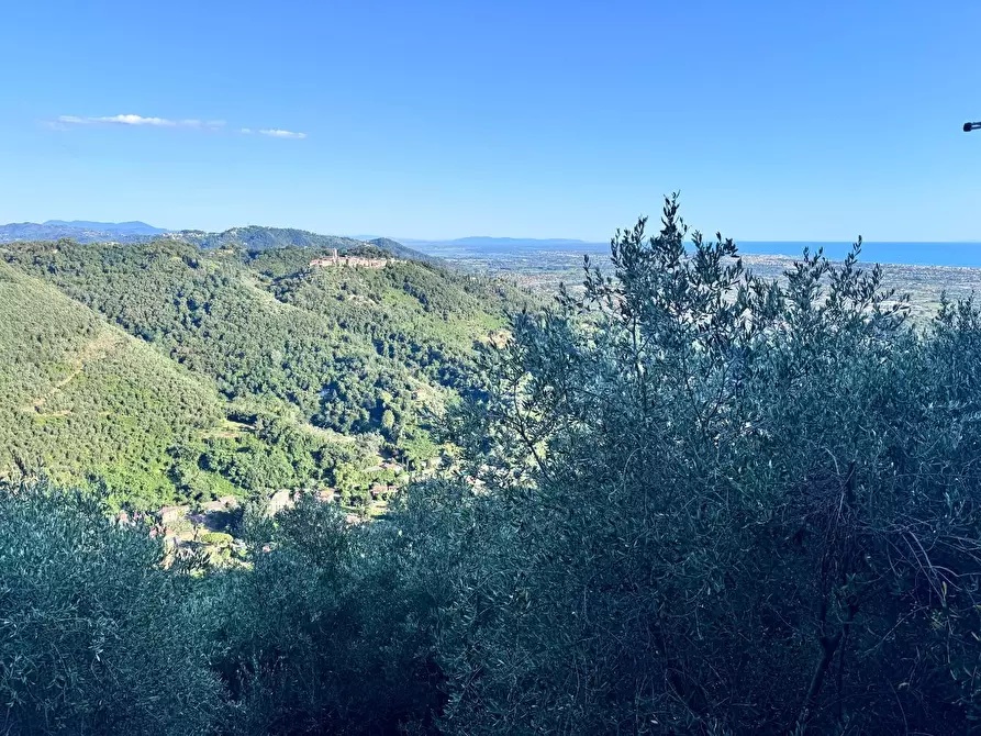 Immagine 4 di Casa colonica in vendita  a Pietrasanta
