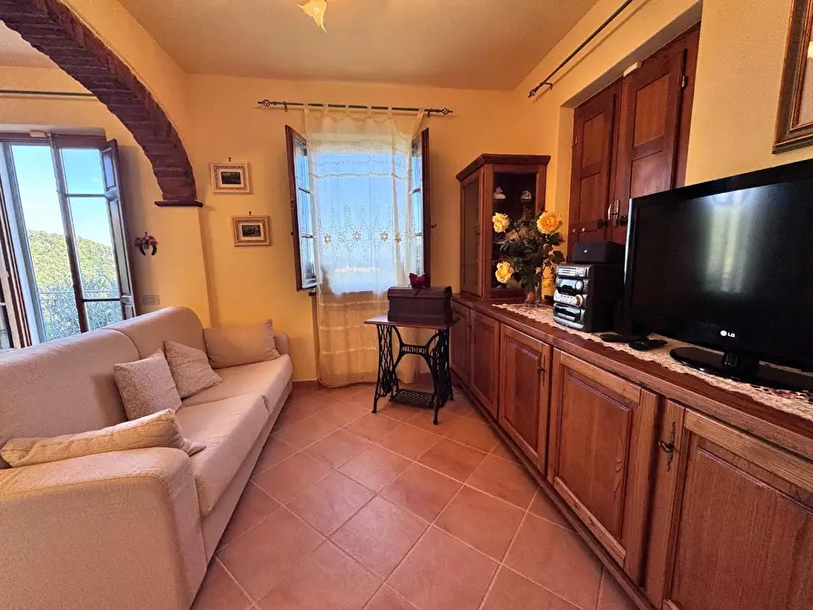 Immagine 24 di Casa colonica in vendita  a Pietrasanta