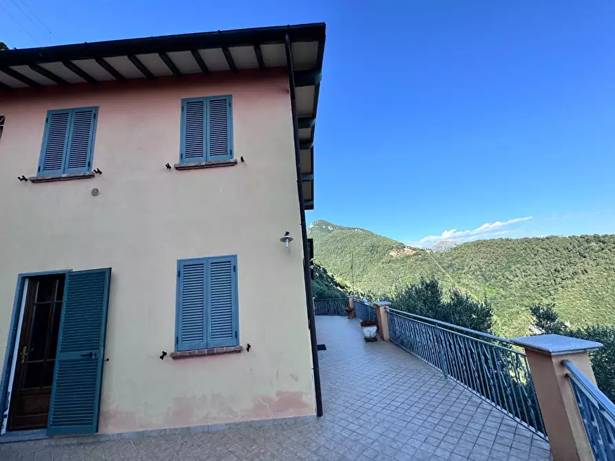 Immagine 63 di Casa colonica in vendita  a Pietrasanta