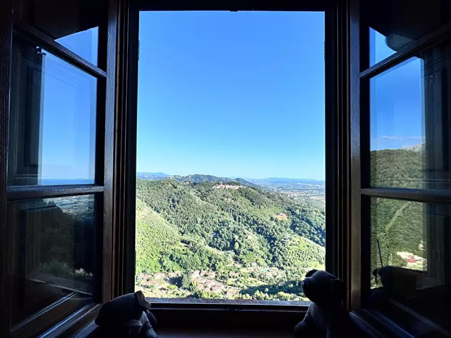 Immagine 49 di Casa colonica in vendita  a Pietrasanta