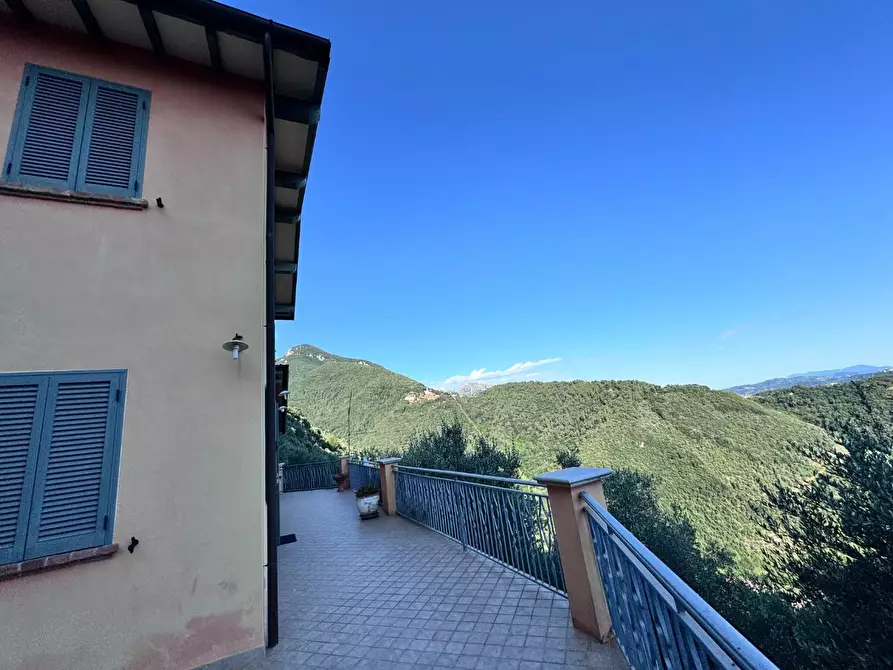 Immagine 62 di Casa colonica in vendita  a Pietrasanta