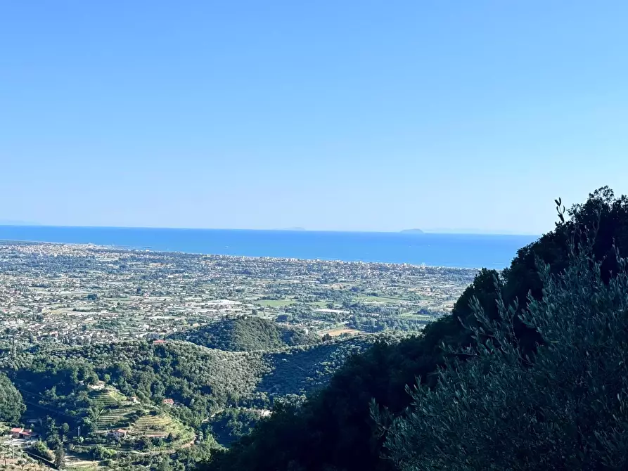 Immagine 5 di Casa colonica in vendita  a Pietrasanta