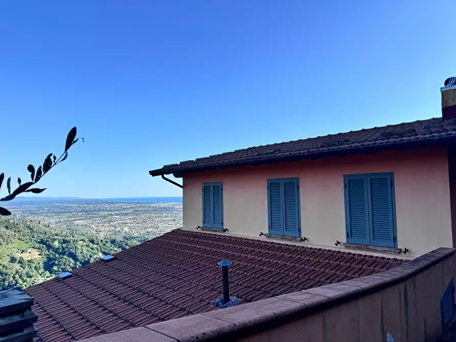 Immagine 3 di Casa colonica in vendita  a Pietrasanta