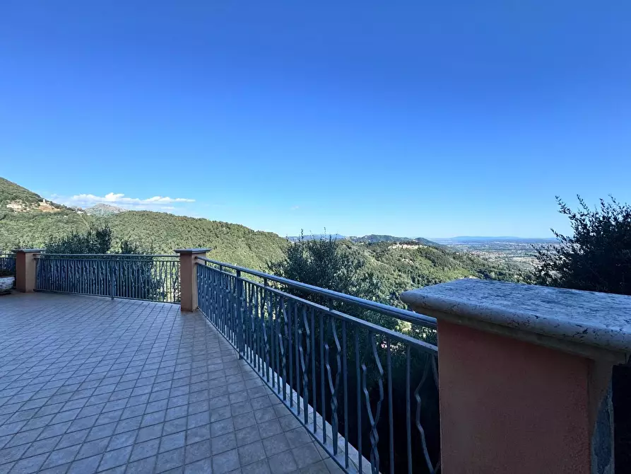 Immagine 64 di Casa colonica in vendita  a Pietrasanta