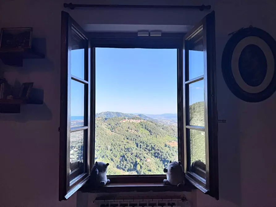Immagine 37 di Casa colonica in vendita  a Pietrasanta