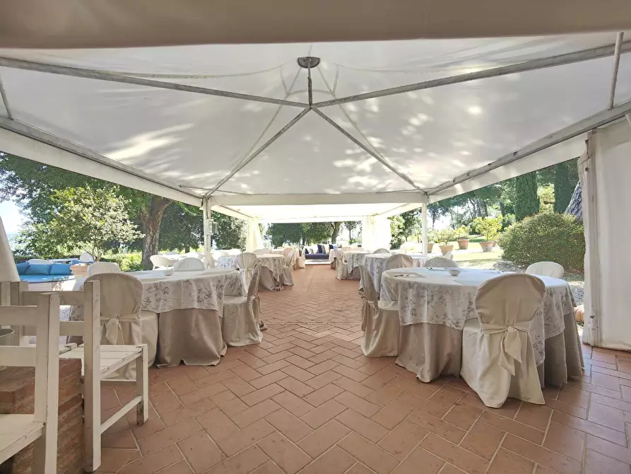 Immagine 53 di Agriturismo in vendita  a San Miniato