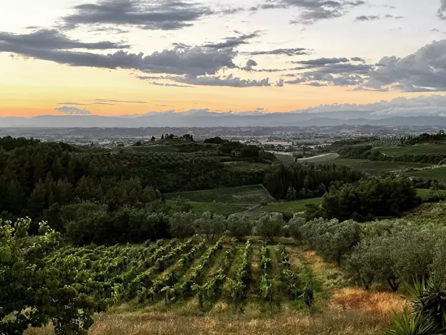 Immagine 39 di Agriturismo in vendita  a San Miniato