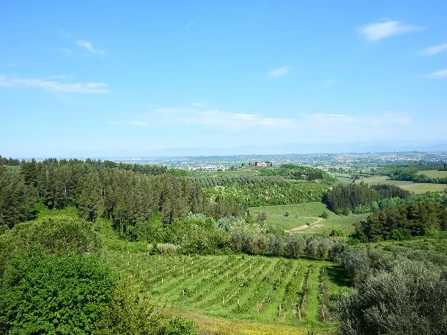 Immagine 13 di Agriturismo in vendita  a San Miniato