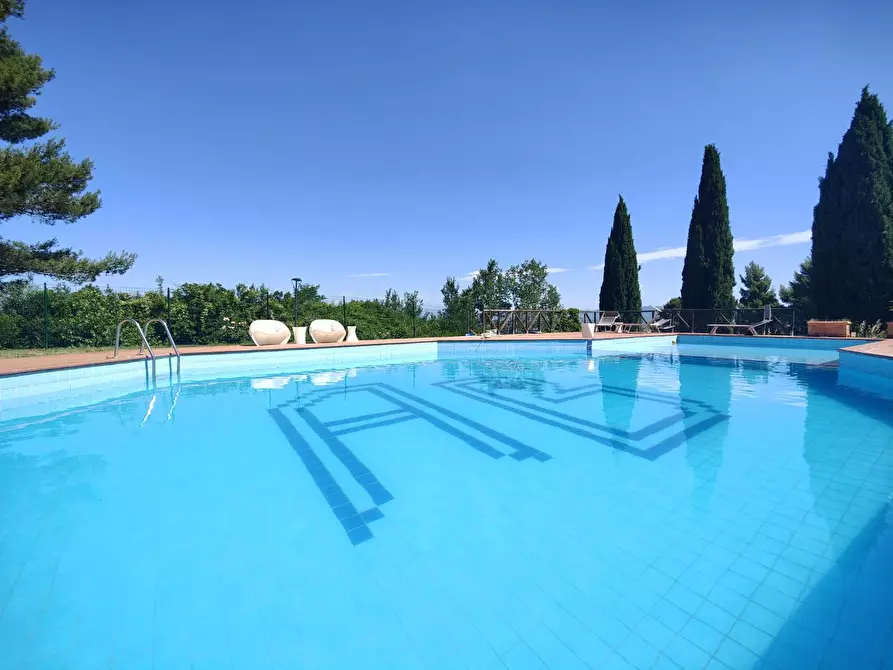 Immagine 45 di Agriturismo in vendita  a San Miniato