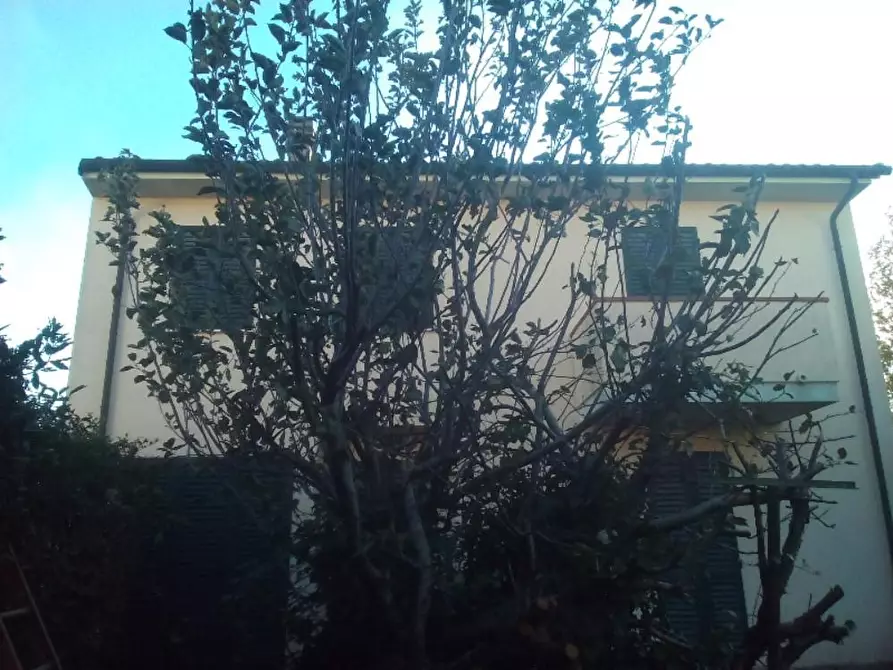 Immagine 45 di Casa indipendente in vendita  a San Giuliano Terme