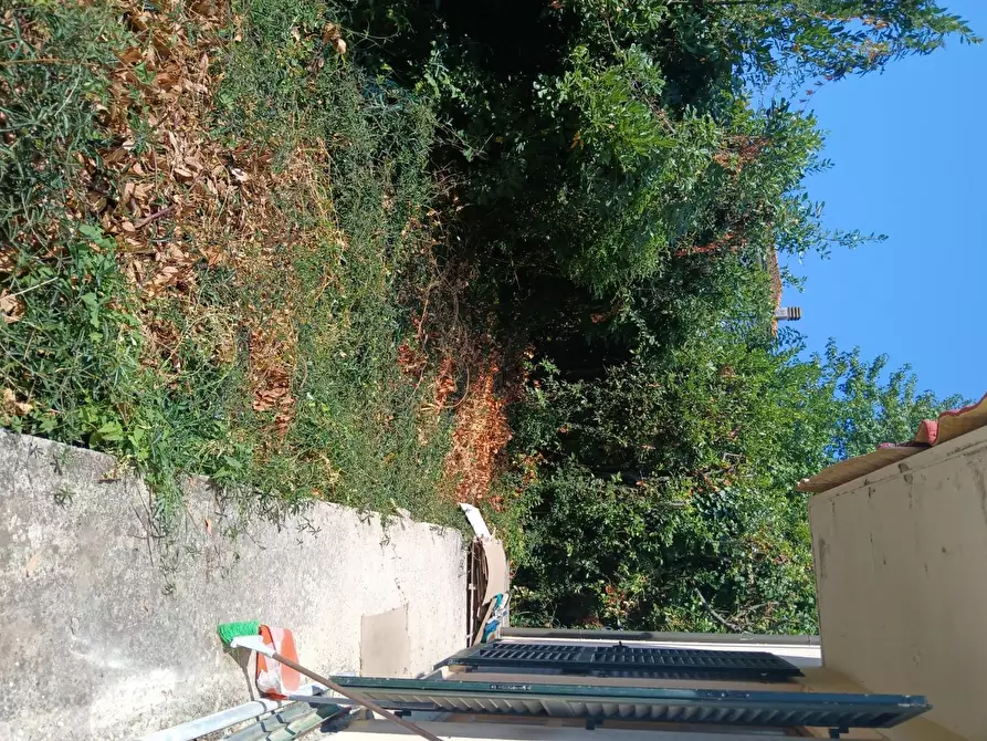 Immagine 21 di Casa indipendente in vendita  a San Giuliano Terme
