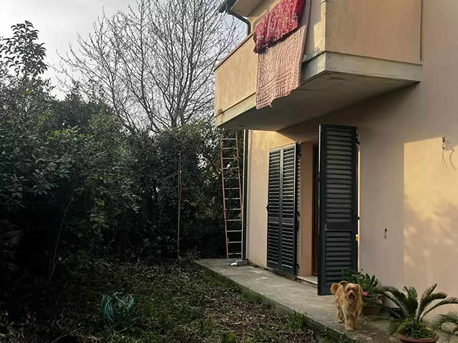 Immagine 3 di Casa indipendente in vendita  a San Giuliano Terme