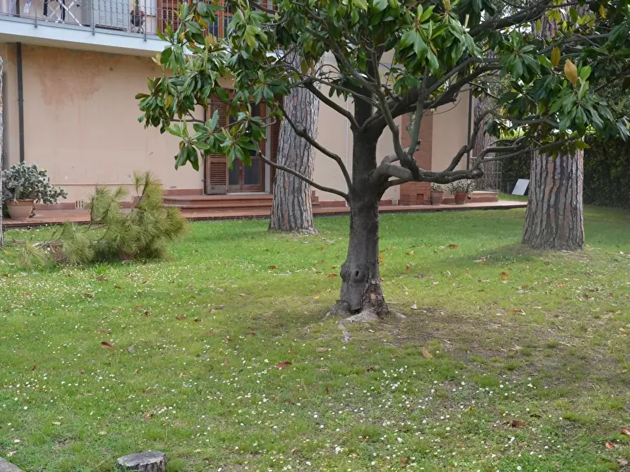Immagine 2 di Casa bifamiliare in vendita  a San Giuliano Terme