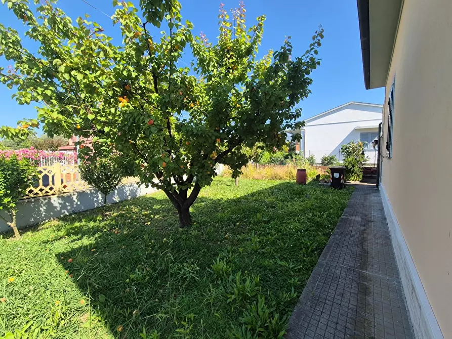 Immagine 25 di Villa in vendita  a Cascina