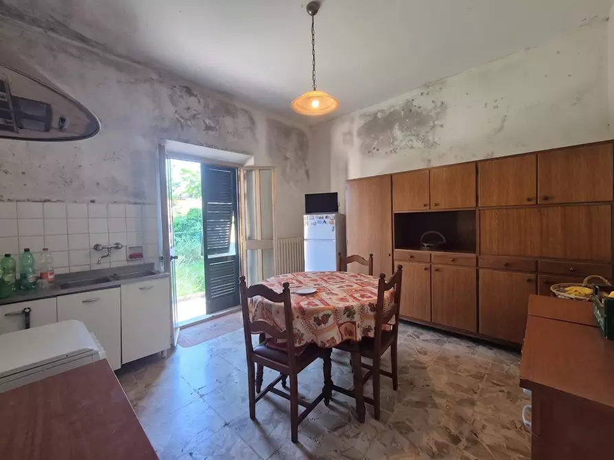 Immagine 4 di Villa in vendita  a Cascina