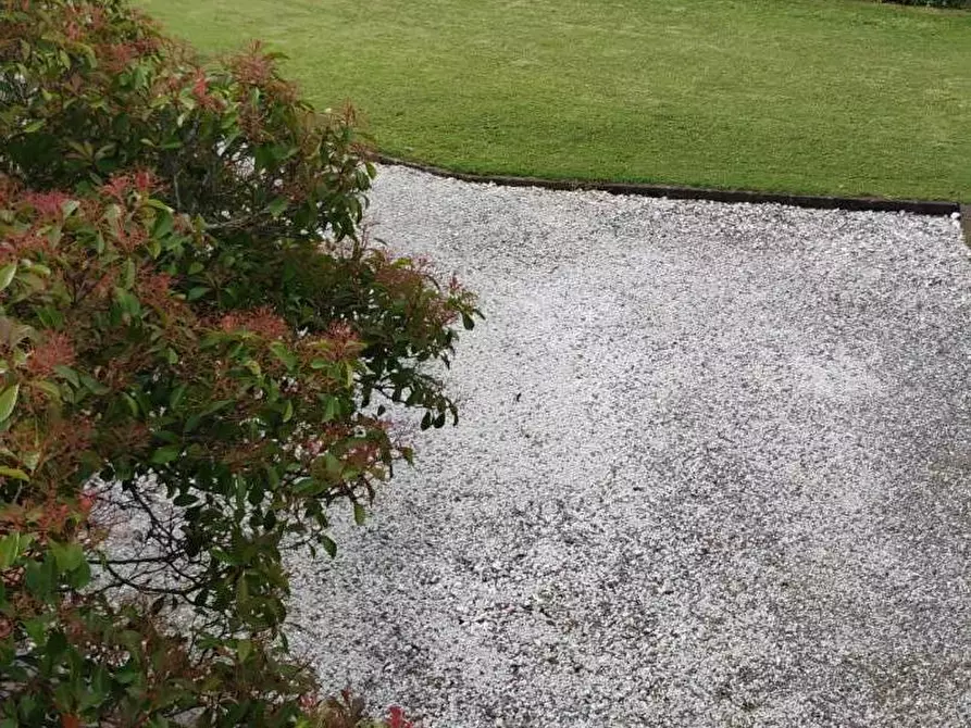 Immagine 24 di Casa semindipendente in vendita  a Crespina Lorenzana