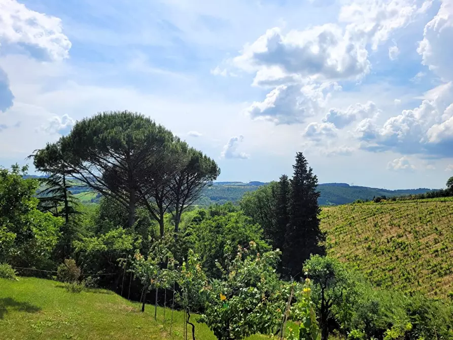 Immagine 2 di Villetta a schiera in vendita  a Lastra A Signa