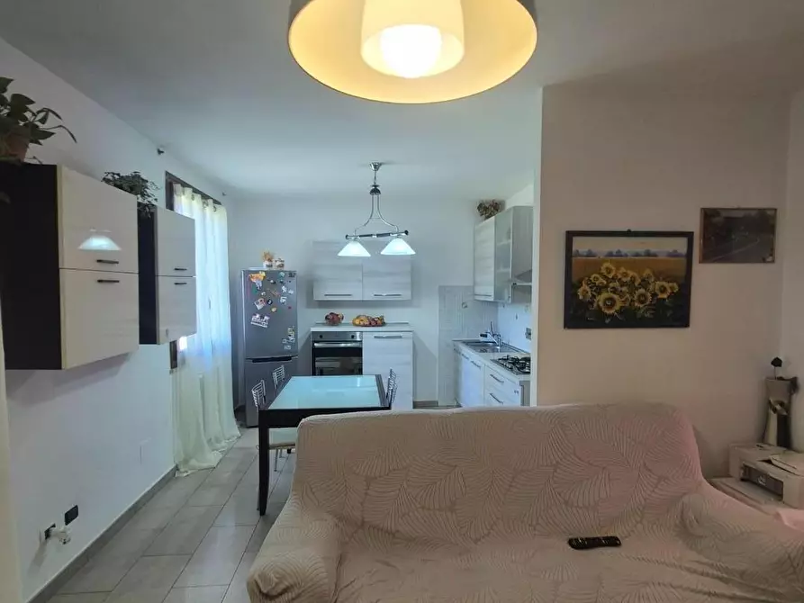 Immagine 4 di Appartamento in vendita  a Suvereto