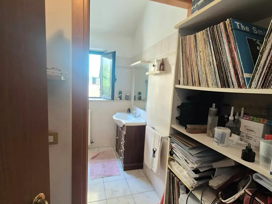 Immagine 7 di Appartamento in vendita  a Campiglia Marittima
