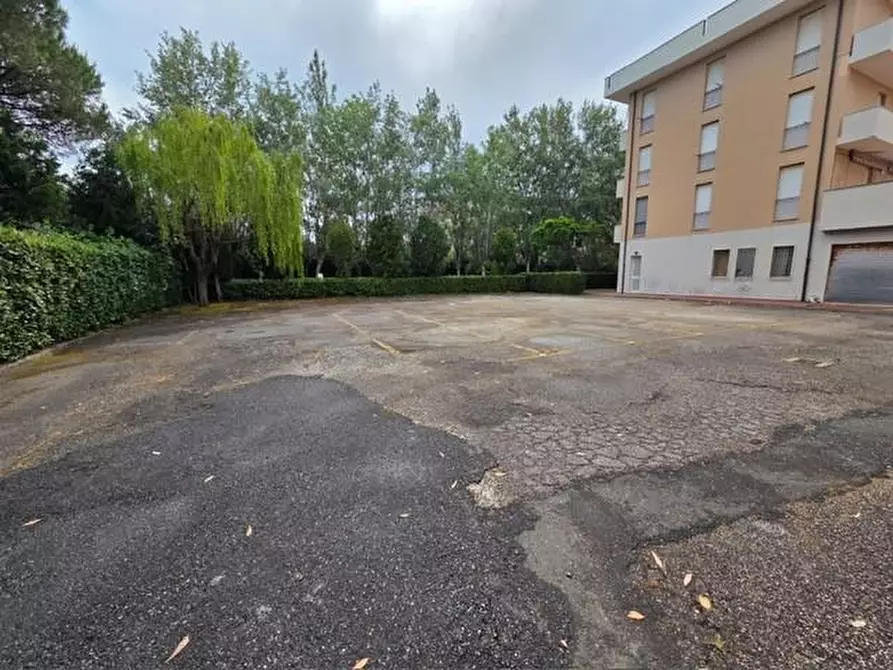 Immagine 10 di Appartamento in vendita  a Rosignano Marittimo