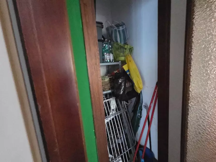 Immagine 7 di Appartamento in vendita  a Rosignano Marittimo