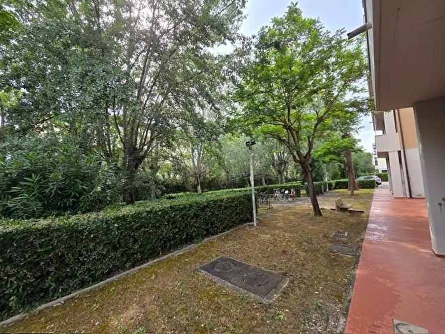 Immagine 6 di Appartamento in vendita  a Rosignano Marittimo
