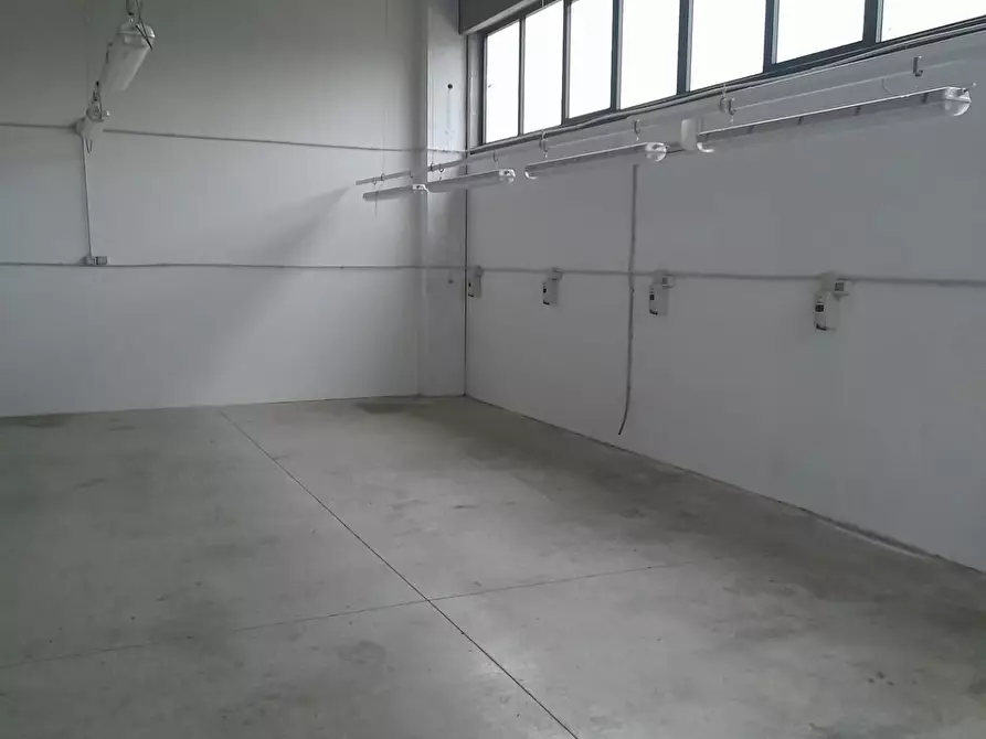 Immagine 4 di Attività artigianale in vendita  a Fucecchio