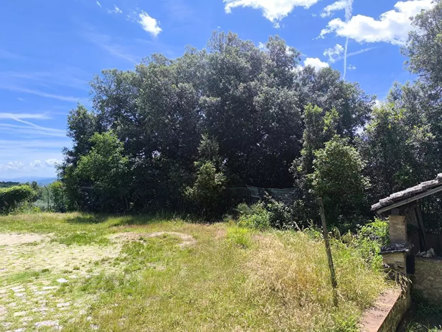 Immagine 15 di Appartamento in vendita  a Monticiano