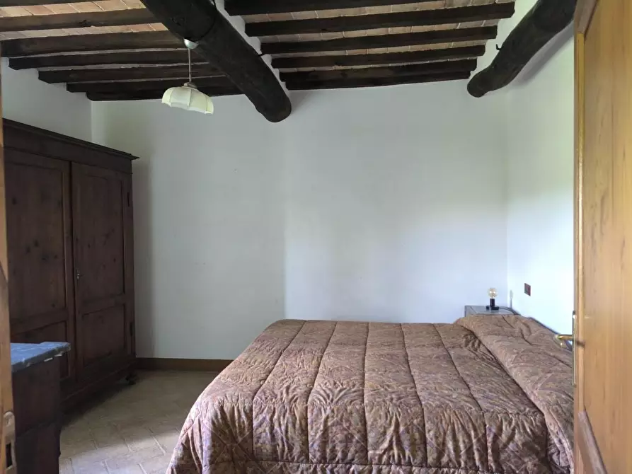Immagine 24 di Appartamento in vendita  a Monticiano