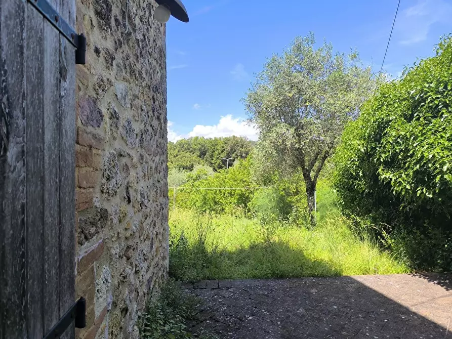 Immagine 16 di Appartamento in vendita  a Monticiano