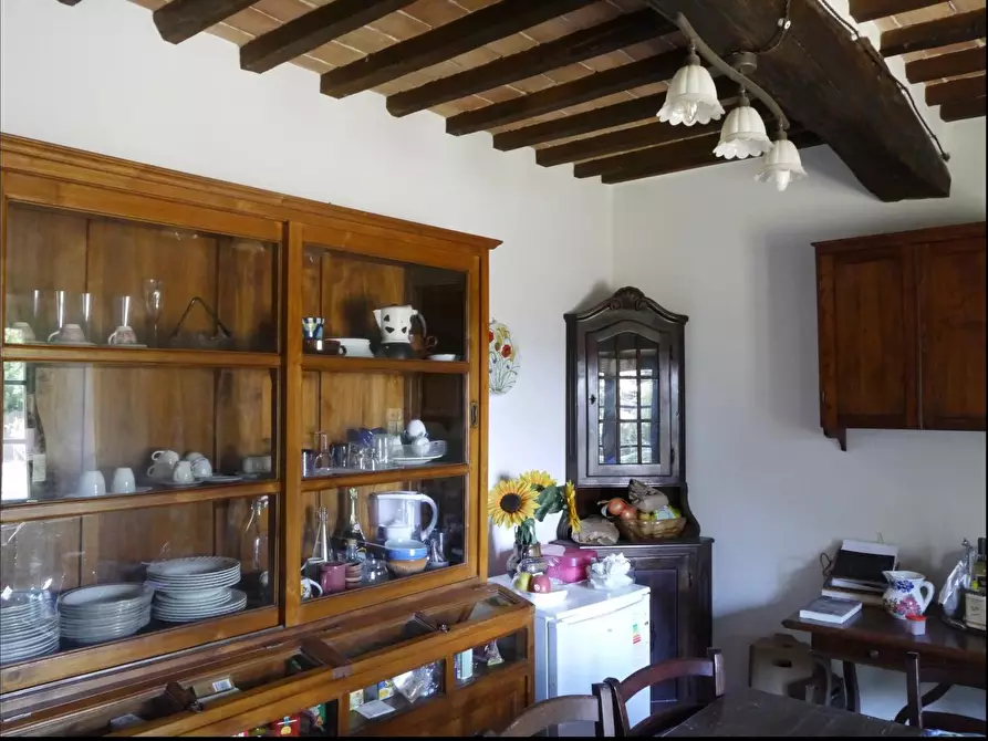 Immagine 3 di Appartamento in vendita  a Monticiano