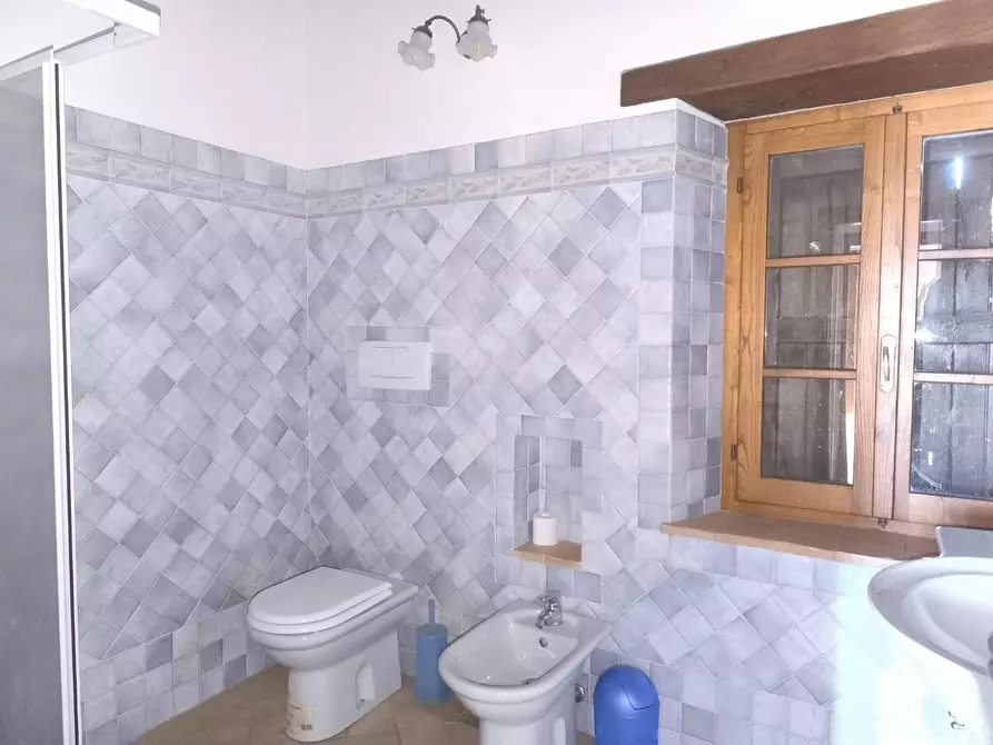 Immagine 23 di Appartamento in vendita  a Monticiano