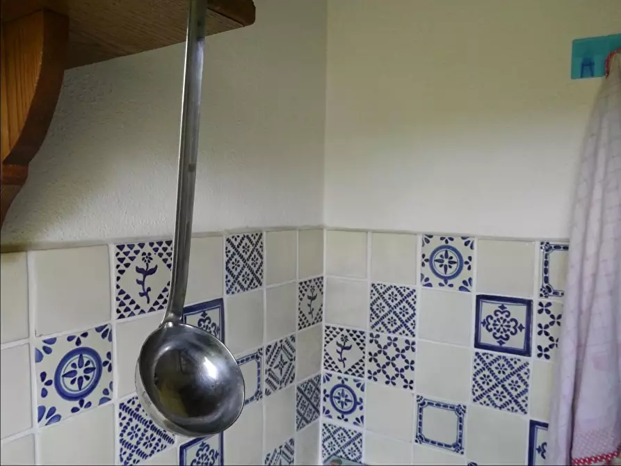 Immagine 5 di Appartamento in vendita  a Monticiano