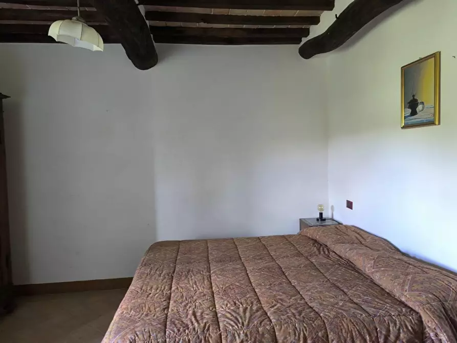 Immagine 26 di Appartamento in vendita  a Monticiano