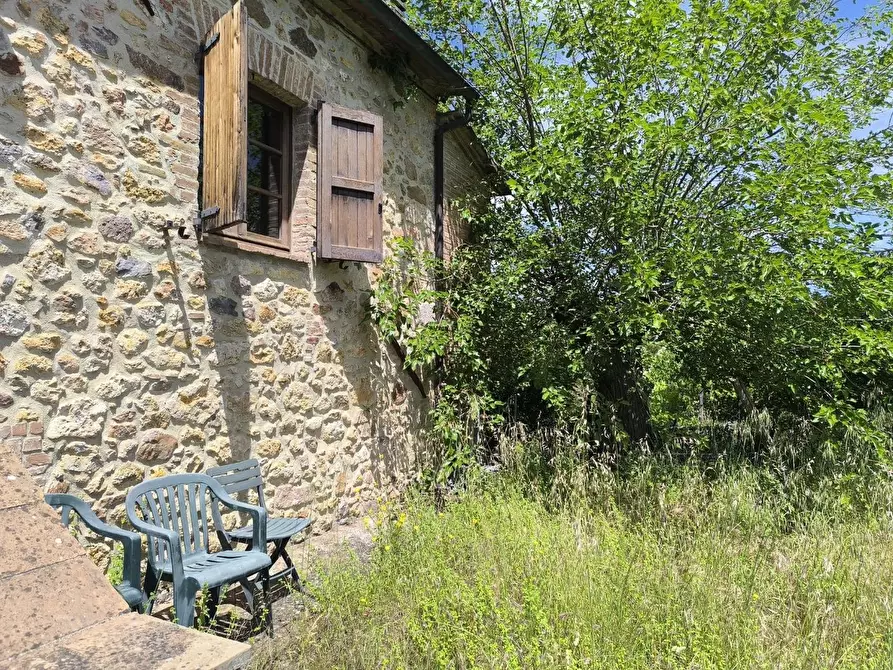 Immagine 17 di Appartamento in vendita  a Monticiano