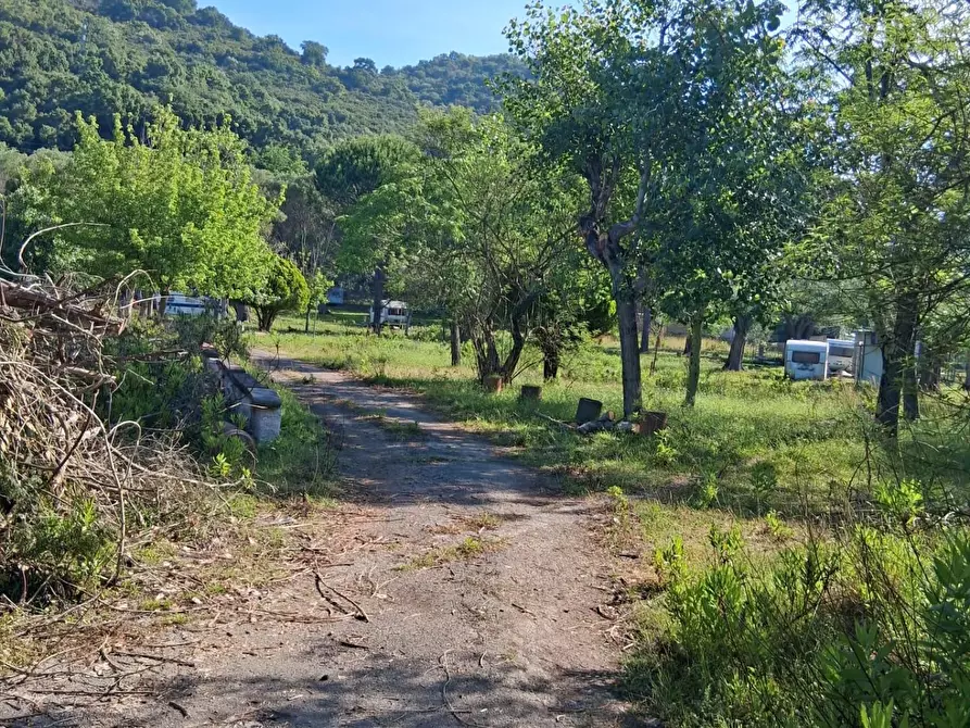 Immagine 14 di Terreno residenziale in vendita  a Ispani