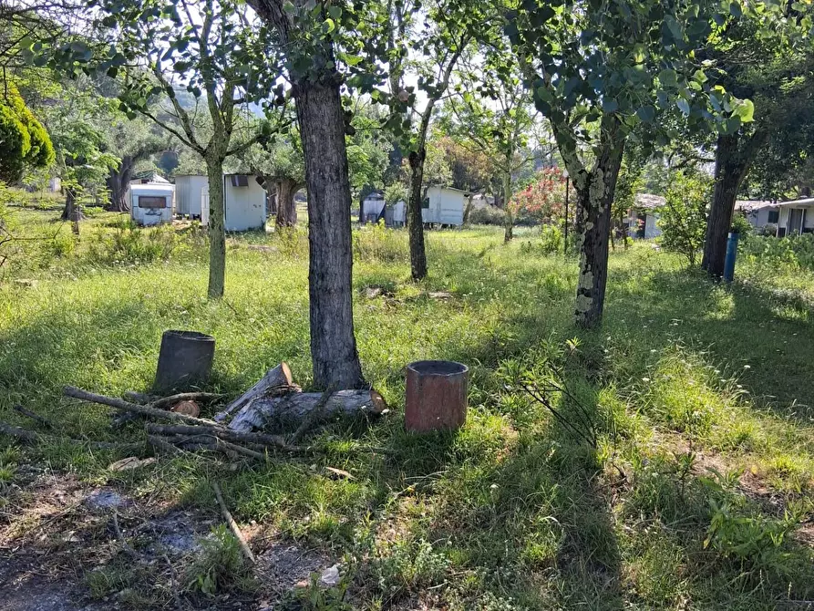 Immagine 10 di Terreno residenziale in vendita  a Ispani