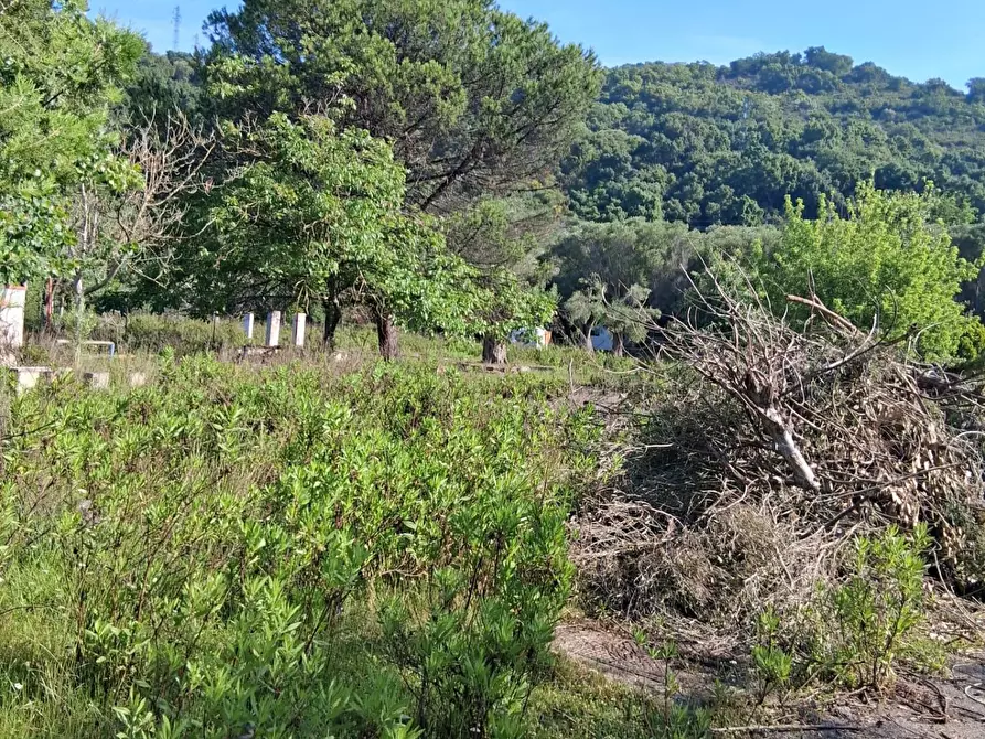 Immagine 3 di Terreno residenziale in vendita  a Ispani