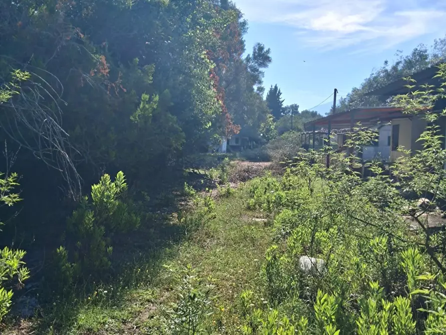 Immagine 5 di Terreno residenziale in vendita  a Ispani