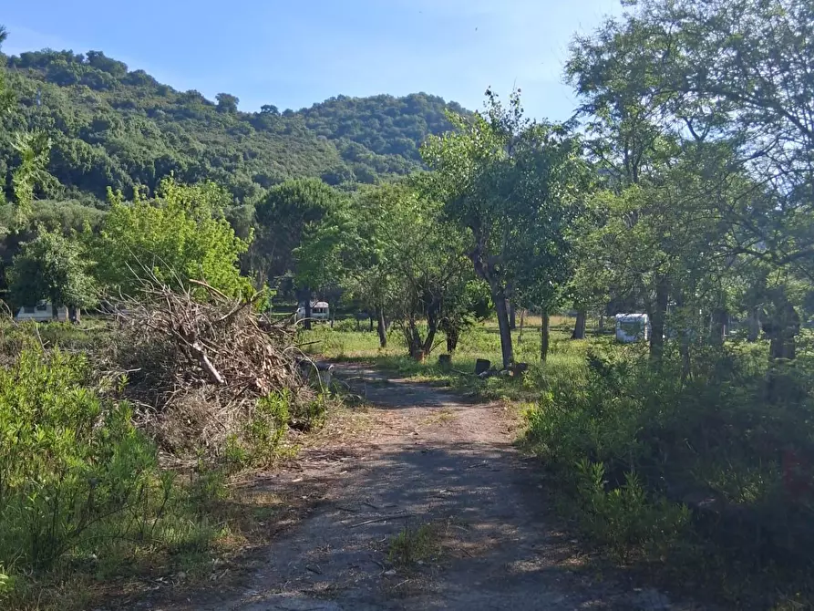 Immagine 8 di Terreno residenziale in vendita  a Ispani