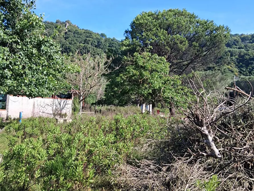 Immagine 11 di Terreno residenziale in vendita  a Ispani