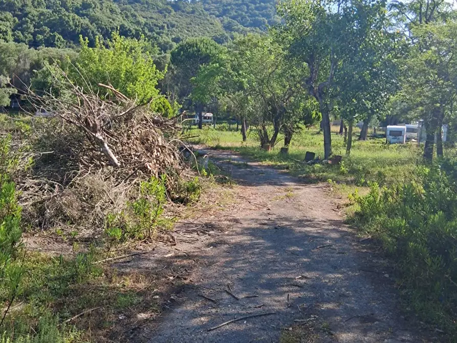 Immagine 6 di Terreno residenziale in vendita  a Ispani