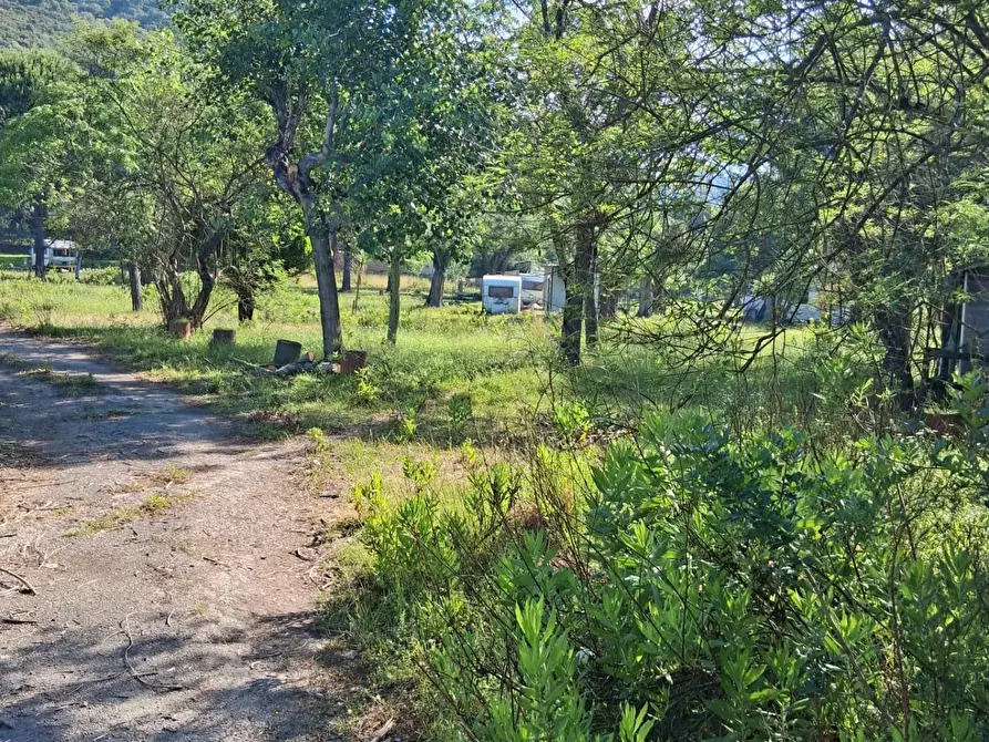 Immagine 12 di Terreno residenziale in vendita  a Ispani