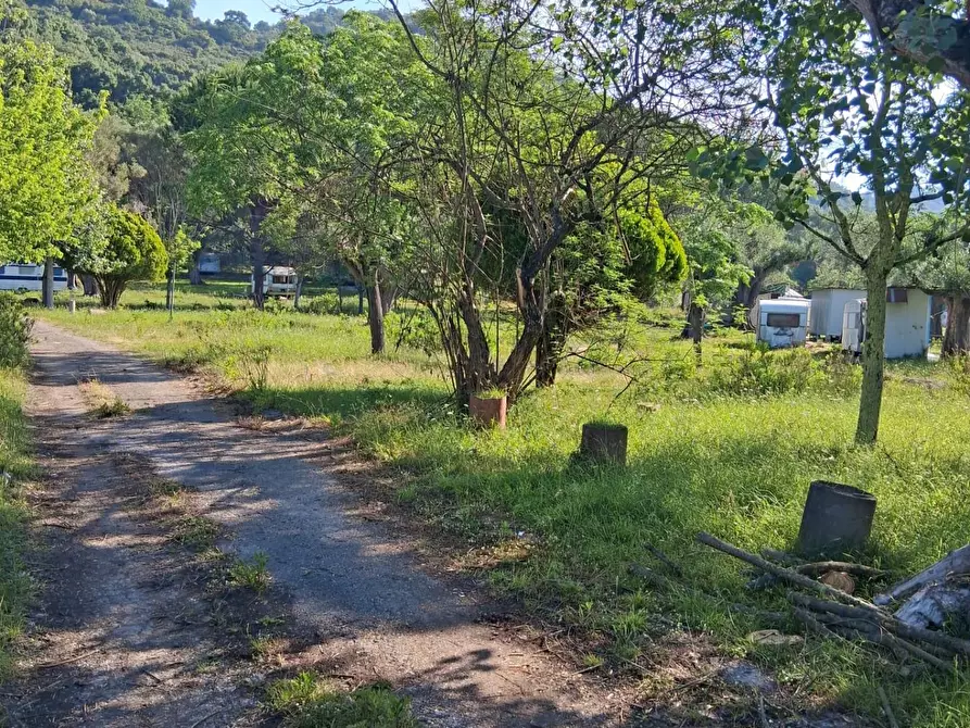 Immagine 9 di Terreno residenziale in vendita  a Ispani
