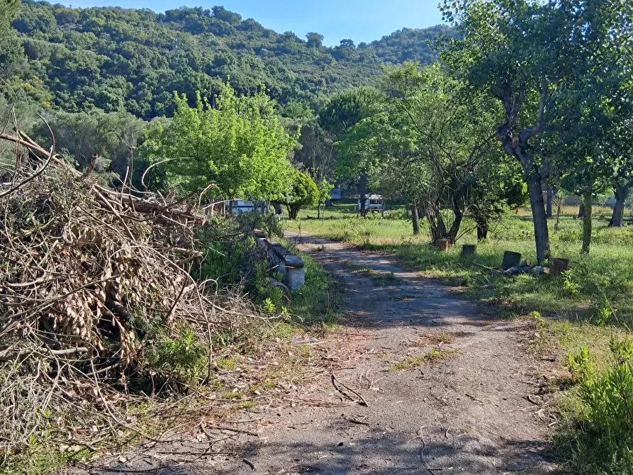Immagine 7 di Terreno residenziale in vendita  a Ispani