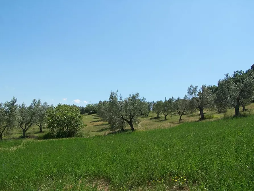 Immagine 5 di Casa indipendente in vendita  a Roccastrada