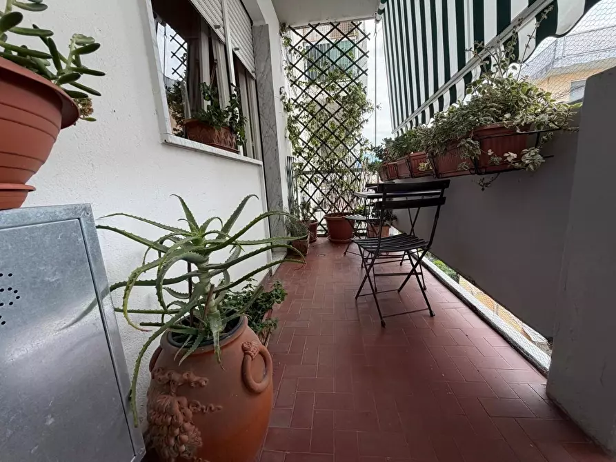 Immagine 2 di Appartamento in vendita  a Carrara