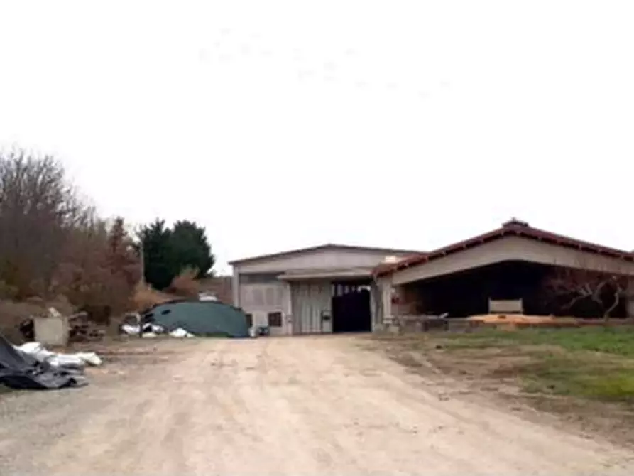 Immagine 3 di Azienda agricola in vendita  a Brozolo